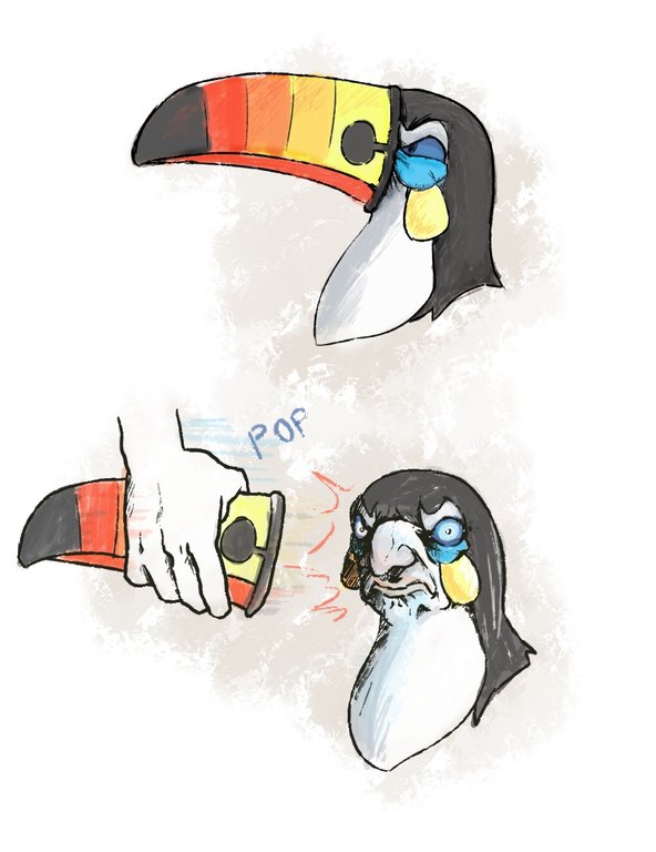 Toucan face